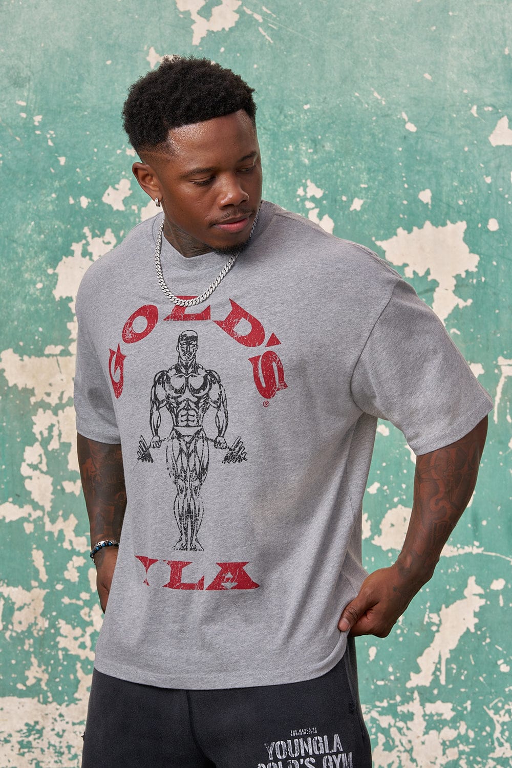 4213 - Gold's Iron Legacy Icon Tees